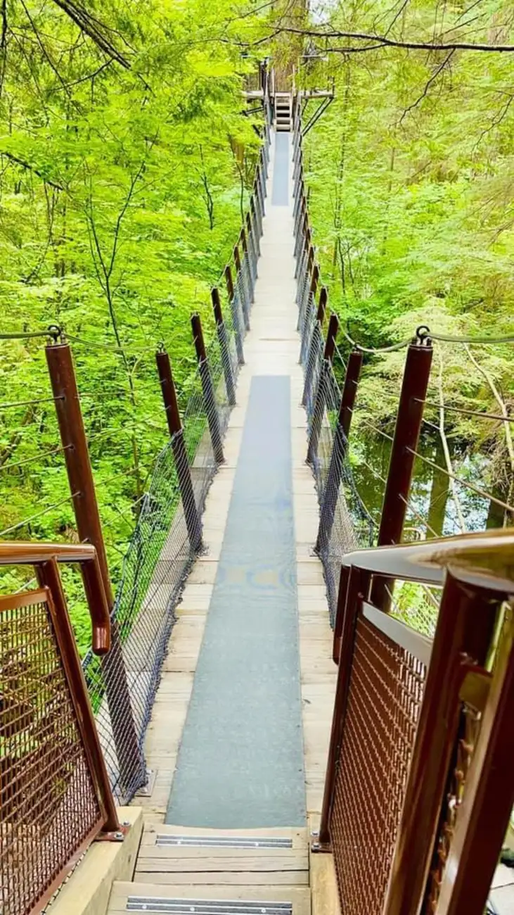 Vancouver: Tur privat obiective urbane, FlyOver & Capilano